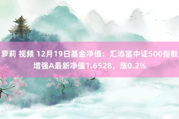 萝莉 视频 12月19日基金净值：汇添富中证500指数增强A最新净值1.6528，涨0.2%