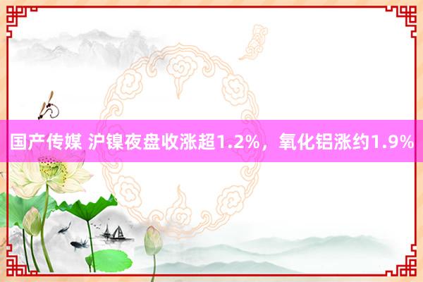 国产传媒 沪镍夜盘收涨超1.2%，氧化铝涨约1.9%