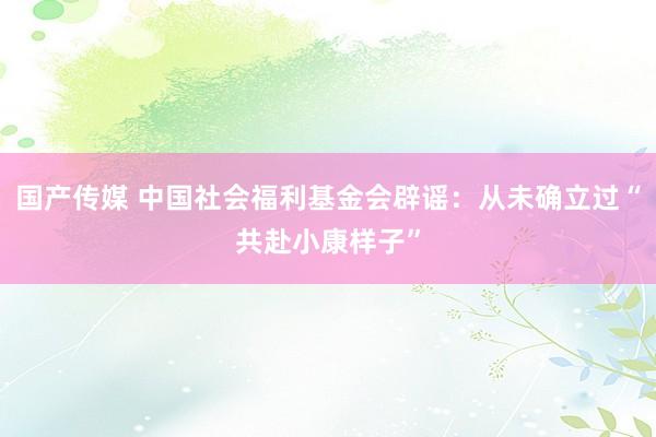 国产传媒 中国社会福利基金会辟谣：从未确立过“共赴小康样子”