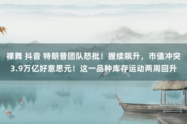 裸舞 抖音 特朗普团队怒批！握续飙升，市值冲突3.9万亿好意思元！这一品种库存运动两周回升