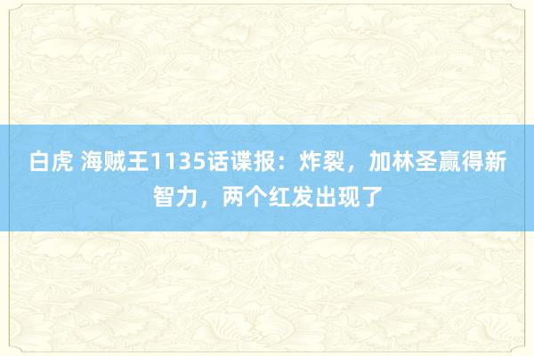 白虎 海贼王1135话谍报：炸裂，加林圣赢得新智力，两个红发出现了