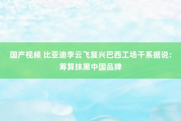 国产视频 比亚迪李云飞复兴巴西工场干系据说：筹算抹黑中国品牌