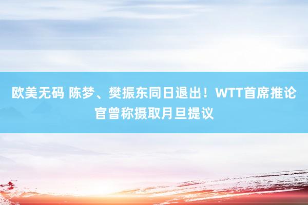 欧美无码 陈梦、樊振东同日退出！WTT首席推论官曾称摄取月旦提议