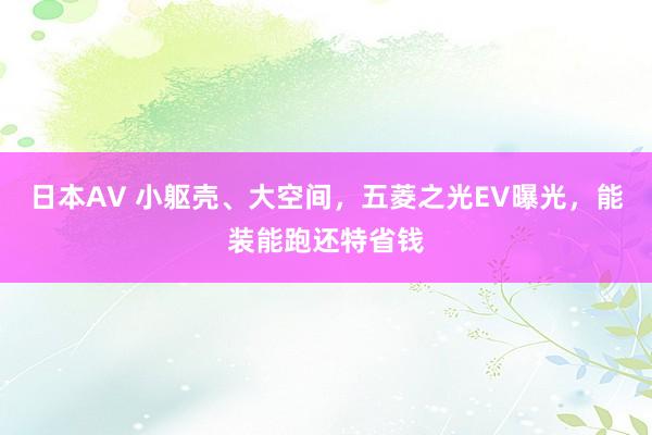 日本AV 小躯壳、大空间，五菱之光EV曝光，能装能跑还特省钱