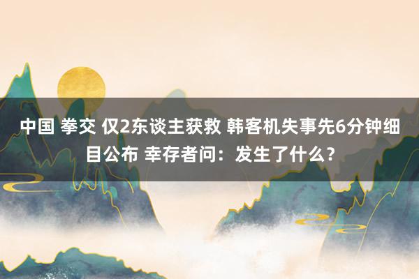 中国 拳交 仅2东谈主获救 韩客机失事先6分钟细目公布 幸存者问：发生了什么？