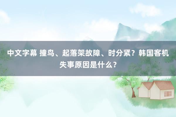 中文字幕 撞鸟、起落架故障、时分紧？韩国客机失事原因是什么？