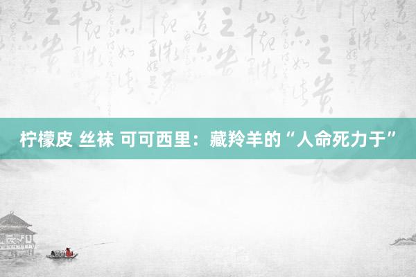 柠檬皮 丝袜 可可西里：藏羚羊的“人命死力于”