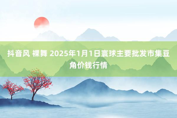 抖音风 裸舞 2025年1月1日寰球主要批发市集豆角价钱行情