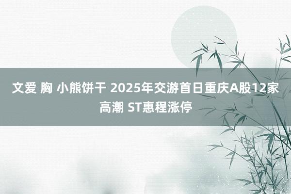 文爱 胸 小熊饼干 2025年交游首日重庆A股12家高潮 ST惠程涨停