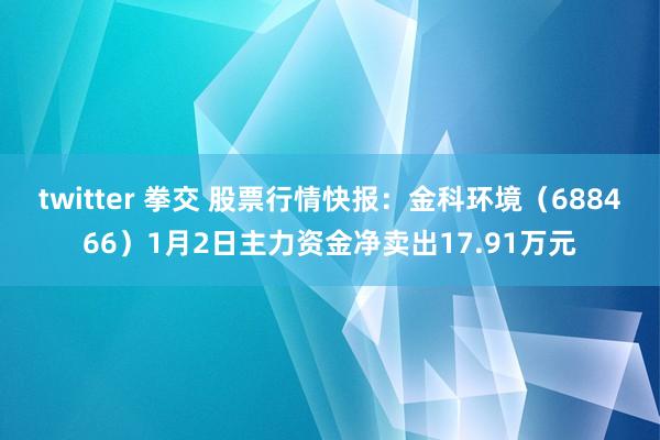 twitter 拳交 股票行情快报：金科环境（688466）1月2日主力资金净卖出17.91万元