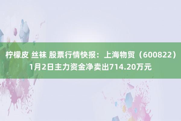 柠檬皮 丝袜 股票行情快报：上海物贸（600822）1月2日主力资金净卖出714.20万元