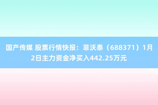 国产传媒 股票行情快报：菲沃泰（688371）1月2日主力资金净买入442.25万元