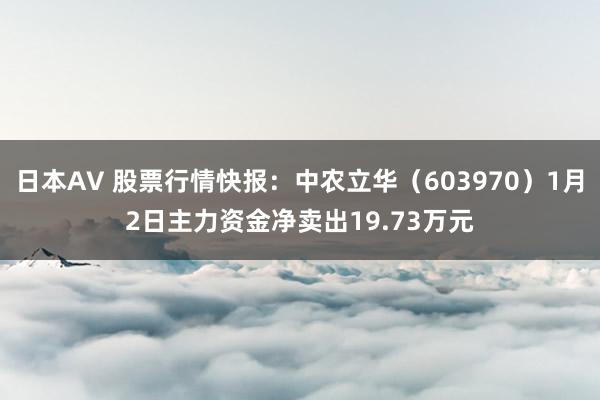 日本AV 股票行情快报：中农立华（603970）1月2日主力资金净卖出19.73万元