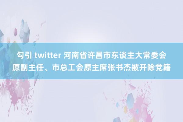 勾引 twitter 河南省许昌市东谈主大常委会原副主任、市总工会原主席张书杰被开除党籍