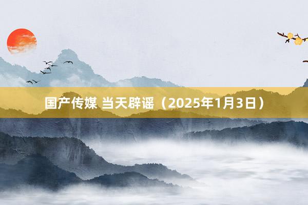 国产传媒 当天辟谣（2025年1月3日）