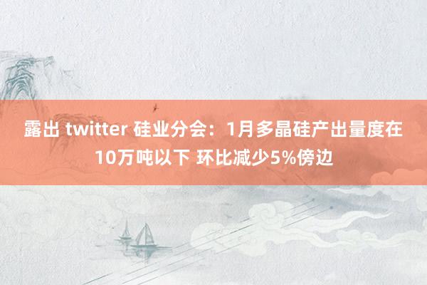 露出 twitter 硅业分会：1月多晶硅产出量度在10万吨以下 环比减少5%傍边