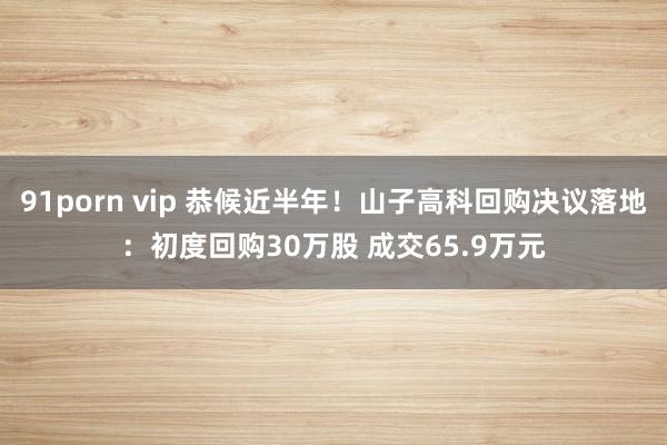 91porn vip 恭候近半年！山子高科回购决议落地：初度回购30万股 成交65.9万元