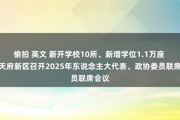 偷拍 英文 新开学校10所、新增学位1.1万座 四川天府新区召开2025年东说念主大代表、政协委员联席会议