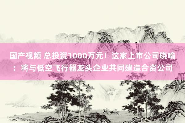 国产视频 总投资1000万元！这家上市公司晓喻：将与低空飞行器龙头企业共同建造合资公司