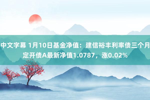 中文字幕 1月10日基金净值：建信裕丰利率债三个月定开债A最新净值1.0787，涨0.02%