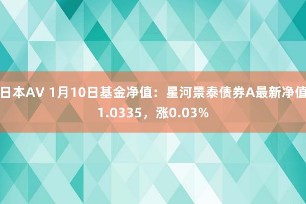 日本AV 1月10日基金净值：星河景泰债券A最新净值1.0335，涨0.03%