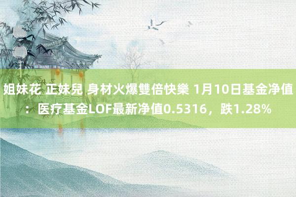 姐妹花 正妹兒 身材火爆雙倍快樂 1月10日基金净值：医疗基金LOF最新净值0.5316，跌1.28%