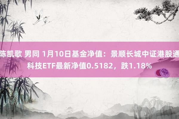 陈凯歌 男同 1月10日基金净值：景顺长城中证港股通科技ETF最新净值0.5182，跌1.18%