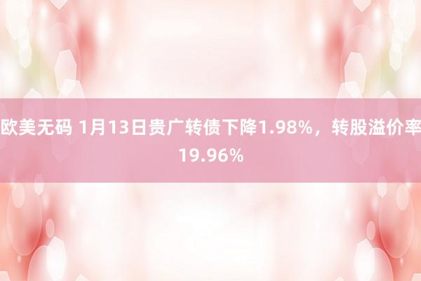 欧美无码 1月13日贵广转债下降1.98%，转股溢价率19.96%