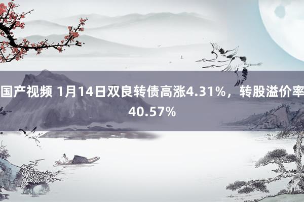 国产视频 1月14日双良转债高涨4.31%，转股溢价率40.57%