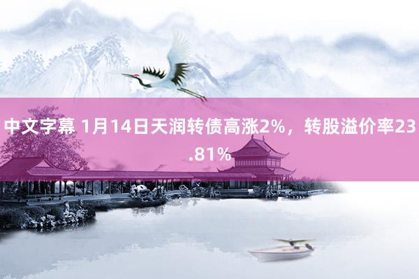 中文字幕 1月14日天润转债高涨2%，转股溢价率23.81%