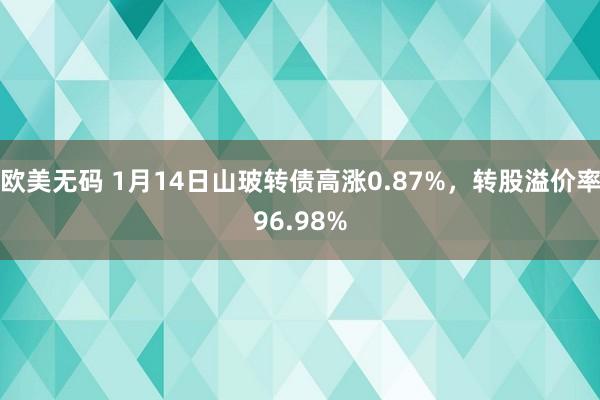 欧美无码 1月14日山玻转债高涨0.87%，转股溢价率96.98%