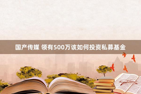 国产传媒 领有500万该如何投资私募基金