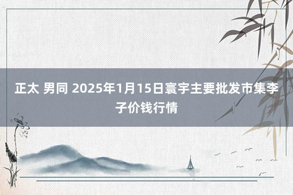 正太 男同 2025年1月15日寰宇主要批发市集李子价钱行情