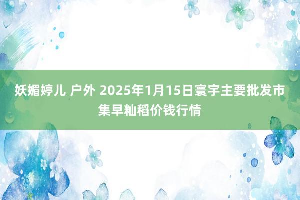 妖媚婷儿 户外 2025年1月15日寰宇主要批发市集早籼稻价钱行情