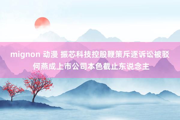 mignon 动漫 振芯科技控股鞭策斥逐诉讼被驳 何燕成上市公司本色截止东说念主