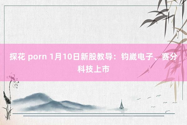 探花 porn 1月10日新股教导：钧崴电子、赛分科技上市